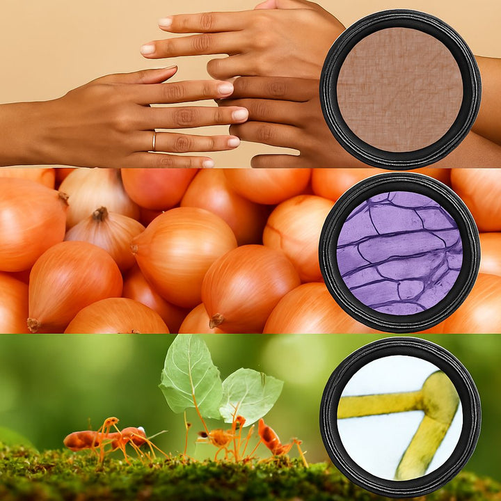 Zoomi Microscópio Infantil