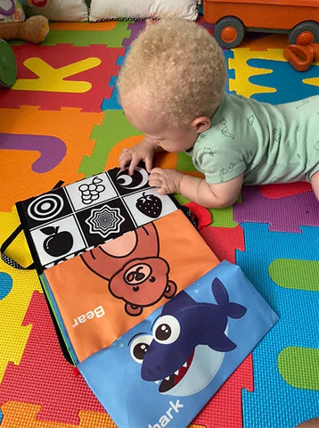 Brinquedo para Floortime