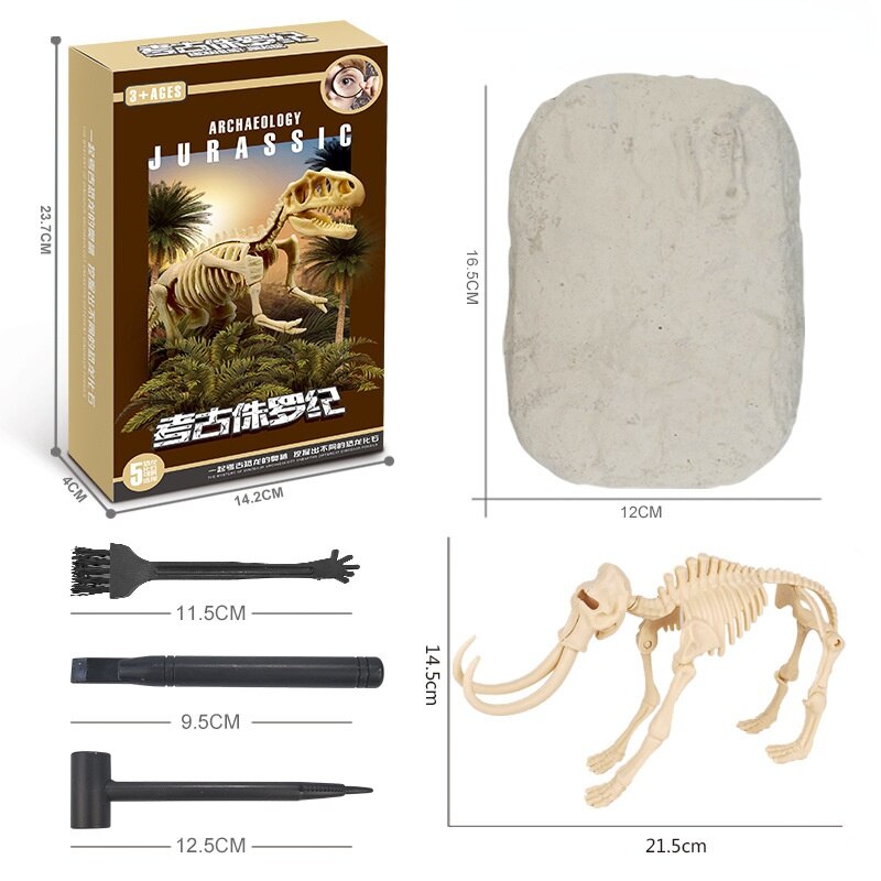 Escavações Fósseis - T-Rex, Brinquedos para Crianças