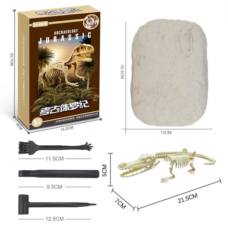 Kit 4 Modelos de Fosseis de Dinossauros cada um 15 Peças para Montar Quebra  Cabeça - Loja Online Kopeck